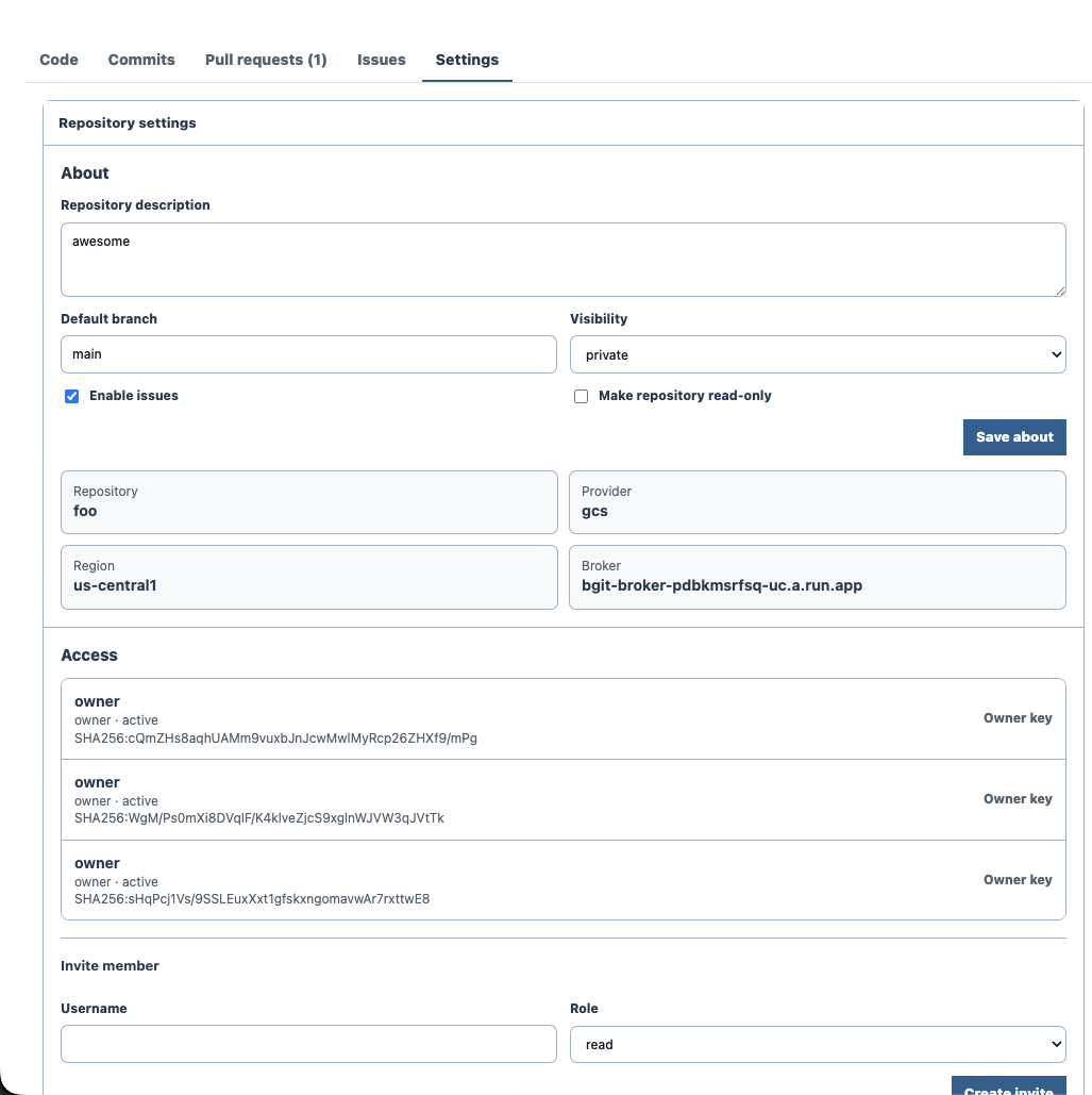 BucketGit repository settings showing description, visibility, issues, read-only mode, and access list